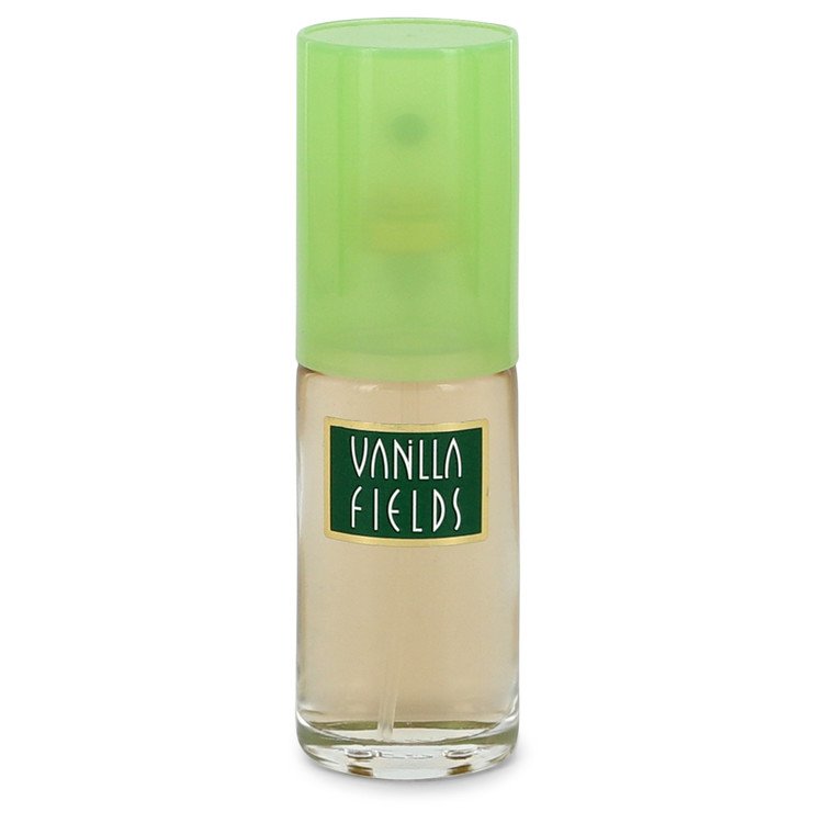 fragrances