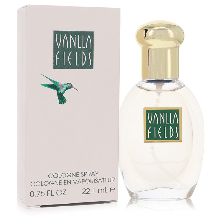 fragrances