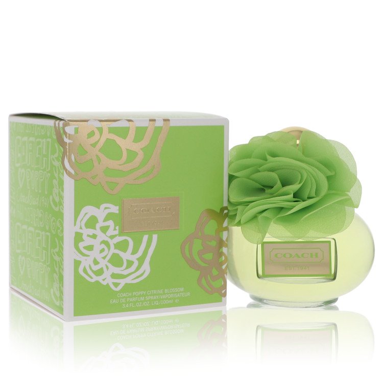 fragrances