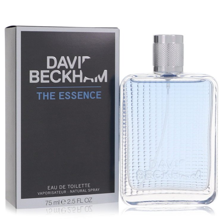 fragrances