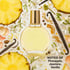 Vanderbilt Perfume
