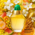 Volupte Perfume