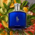 Polo Blue Cologne