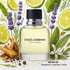 Dolce & Gabbana Cologne