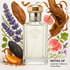 Dreamer Cologne