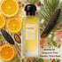 Equipage Cologne