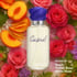 Casual Perfume