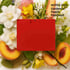 Gucci Rush Perfume