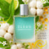 Clean Warm Cotton Perfume