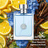 Versace Pour Homme Cologne