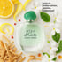 Acqua Di Gioia Perfume