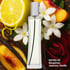Black Lace Perfume