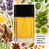 Azzaro Cologne