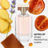 Boss The Scent Perfume