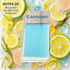 World Extension Cartesien Cologne