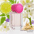 Stella Pop Perfume