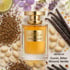 Al Haramain Portfolio Royale Stallion Cologne
