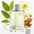 H24 Cologne
