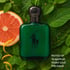Polo Cologne Intense Cologne