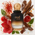 Khadlaj Oud Noir Cologne