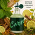 Curve Forest Woods Cologne