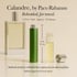 Calandre Perfume by Paco Rabanne Perfume 0.27 Oz Travel Spray