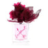 Lovestruck Perfume by Vera Wang Perfume 3.4 Oz Eau De Parfum Spray (unboxed)