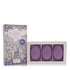 Lavender Perfume