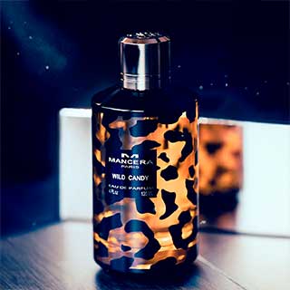 FragranceX Instagram previews