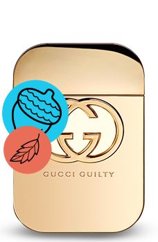 Guilty Gucci