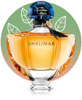 Shop Shalimar