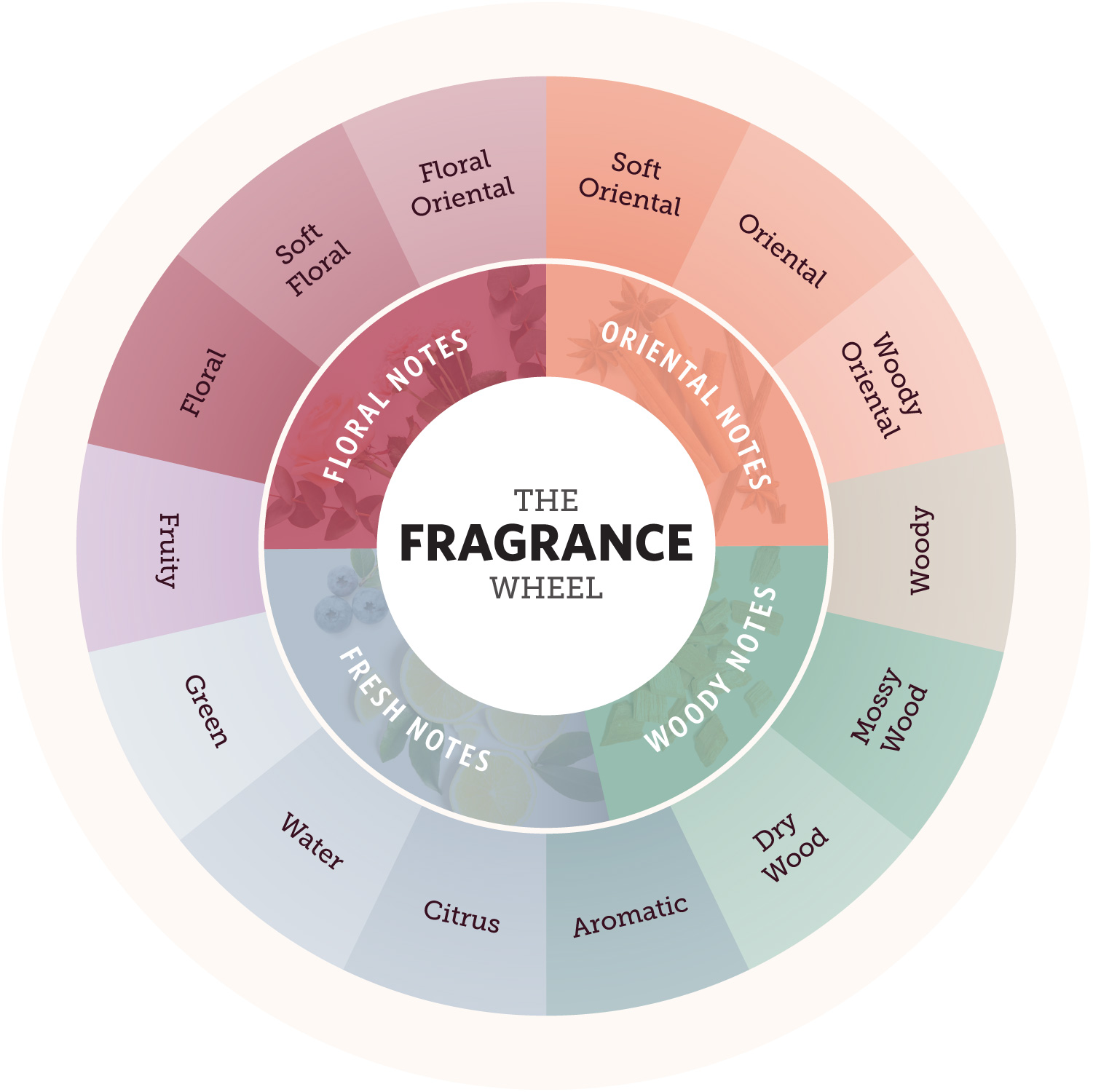 Your Fragrance Wheel and Scent Families Guide FragranceX