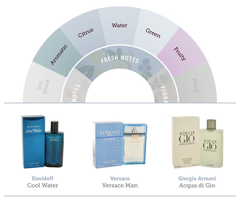 Difference Between Fragrance, Aroma & Scent – www.