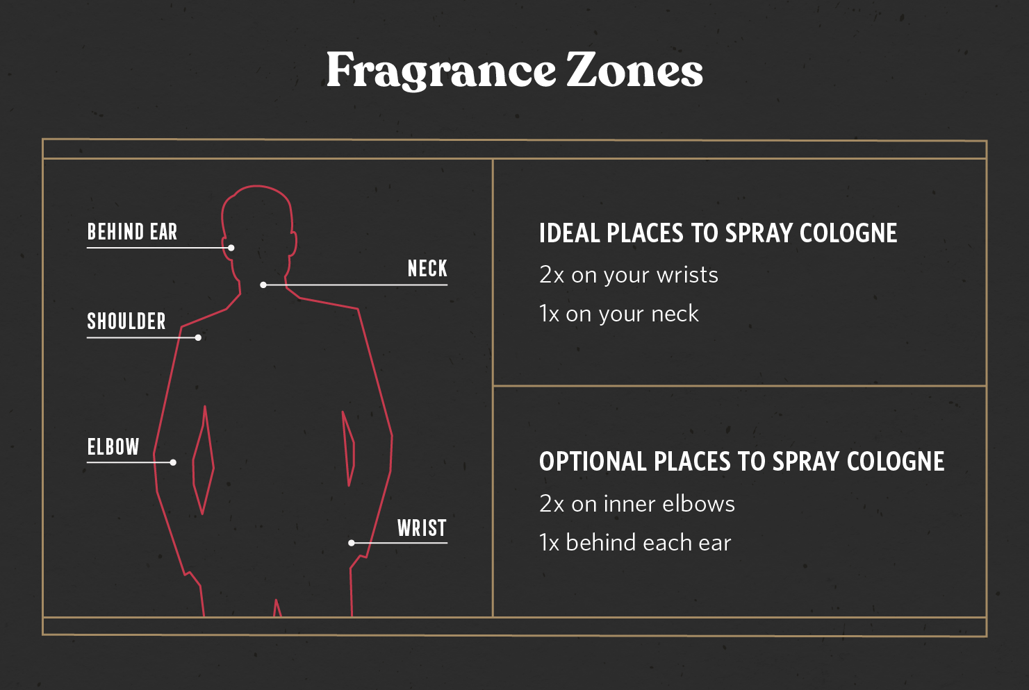 How to Apply Cologne: A Guide on How to Wear Cologne