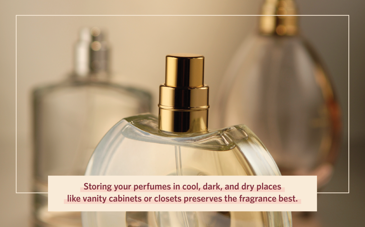 Find out the perfumes which our fragrances are most similar to