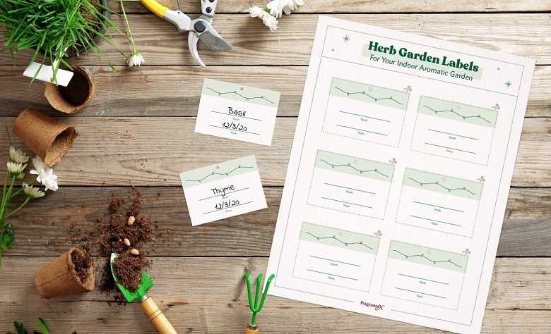 herb garden printable labels
