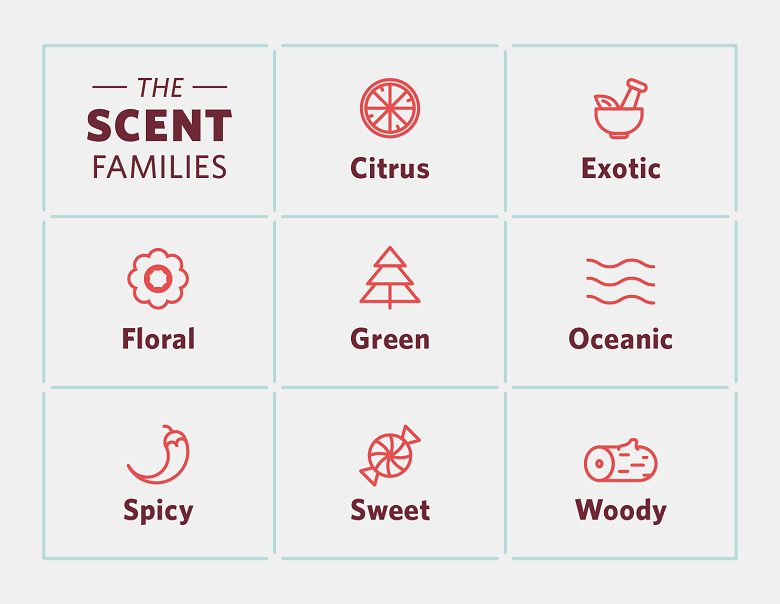 a graphic that outlines the scent families