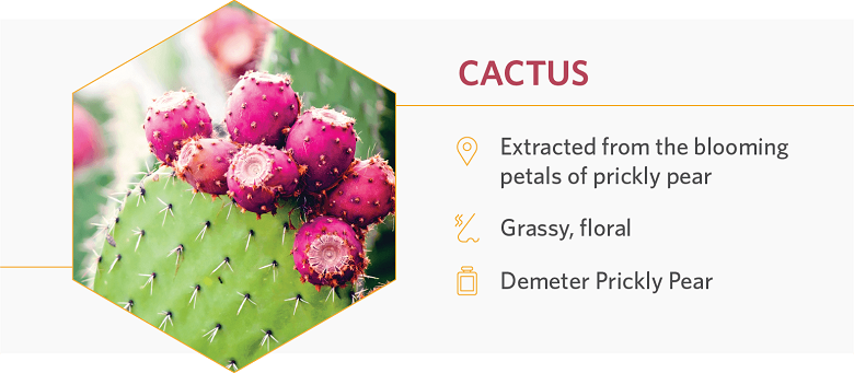 Cactus is extracted from the blooming petals of prickly pear.