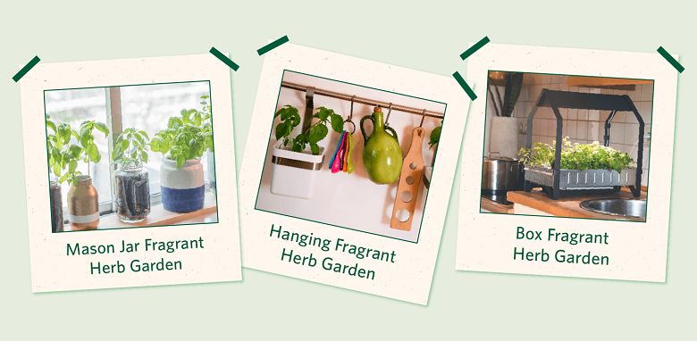 types of indoor herb gardens