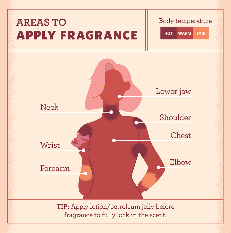 What is Eau de Toilette How Does it Compare to Other Fragrances?