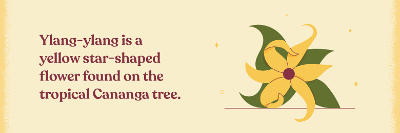 Ylang-ylang is a yellow star-shaped flower.