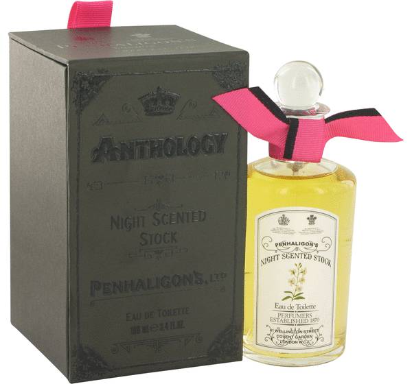 night scented stock perfume