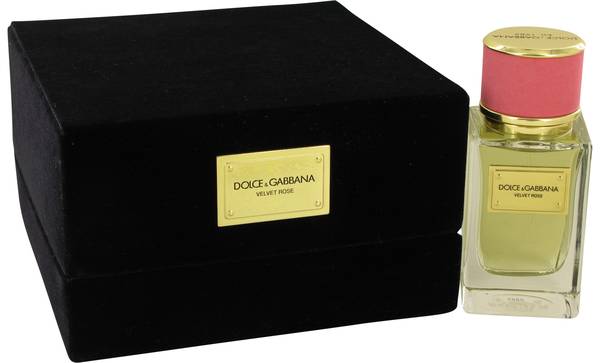 dolce and gabbana velvet rose