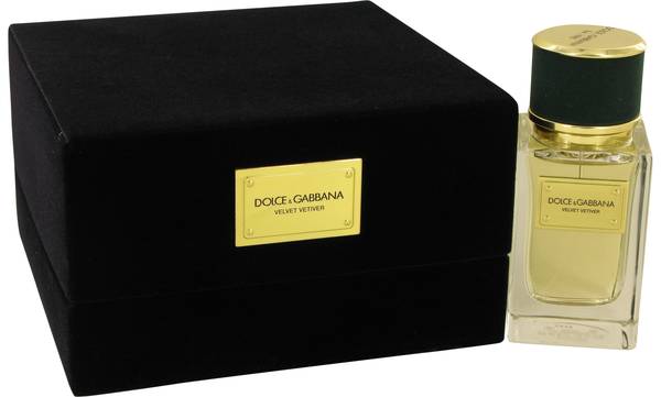 dolce gabbana velvet vetiver