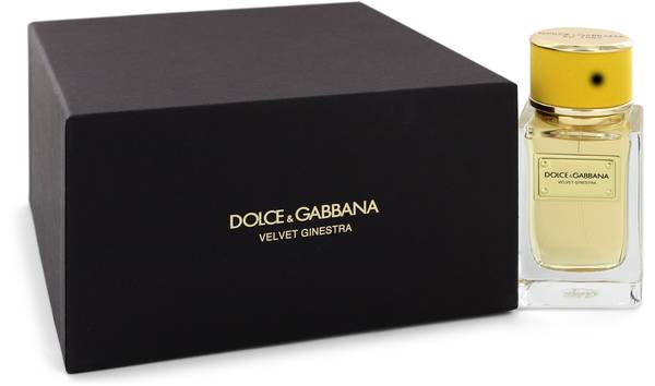 Dolce \u0026 Gabbana Velvet Ginestra Perfume 