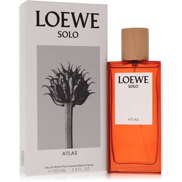 Loewe Solo Atlas Cologne by Loewe