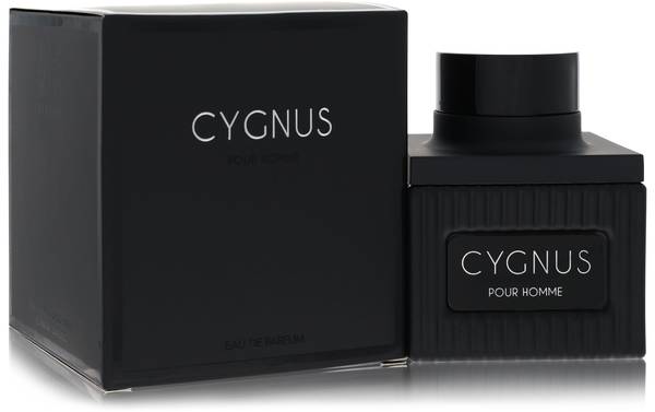 Flavia Cygnus Cologne