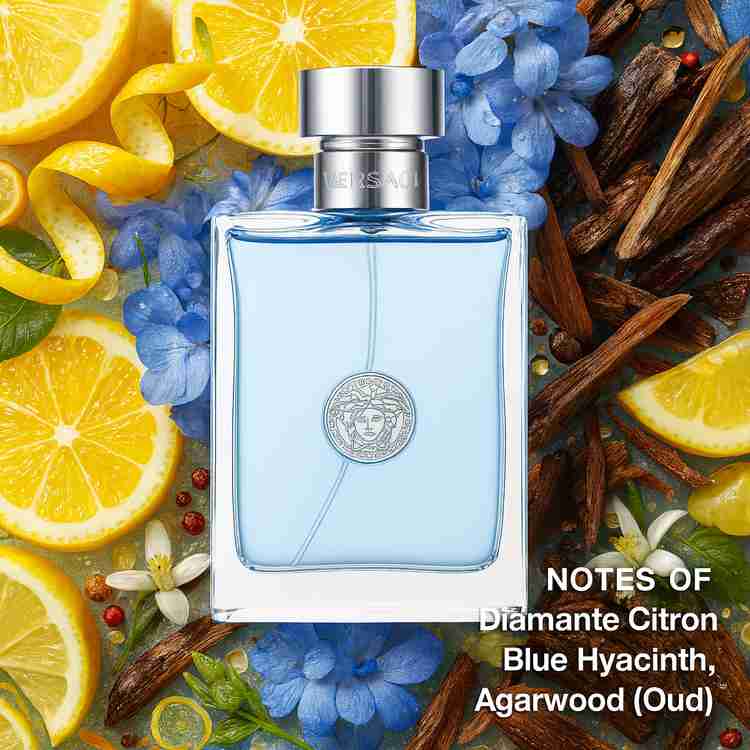 Versace Pour Homme Cologne by Versace | FragranceX.com