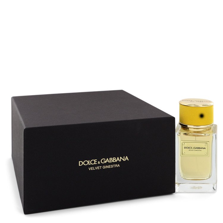 velvet ginestra dolce & gabbana