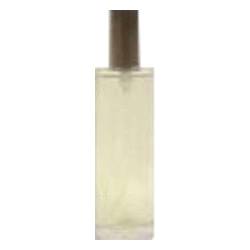 Destination - Ann Taylor Perfume